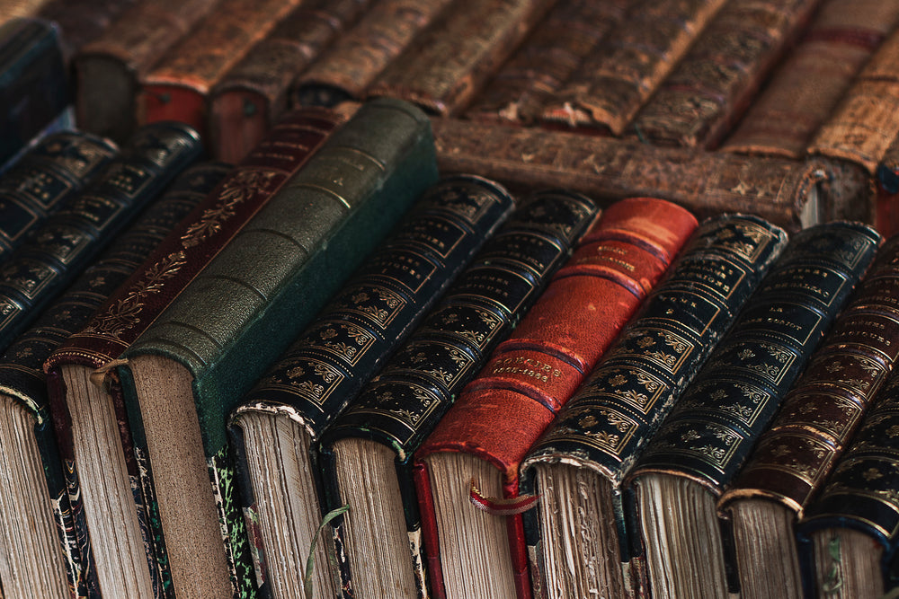 Which Book Genre Are You? — playful illustration