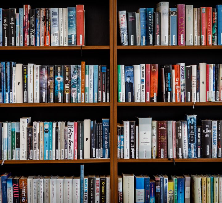 Library bookshelf full of books